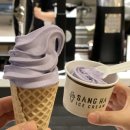 폴 바셋 강남역 삼성화재점 | 폴바셋 라벤더 아이스크림 파는곳 / 강남역 삼성화재점 / 폴바셋 라벤더 아이스크림 후기