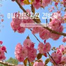 4월26일(일)오전11시23,000원의행복.하남미사경정공원및 봄소풍 이미지