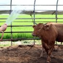 퇴촌부동산공인중개사사무소 이미지