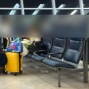 뉴욕약국 | 뉴욕jfk공항 1터미널 6시간체류 후기_공항시설, 면세점, 기념품샵, 입점브랜드, 음식점 한국음식판매...