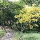 매포전통시장(매포재래시장) 이미지