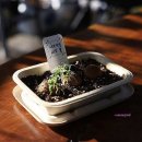 씨드미 - 안산시 상록구 용신로 393 | 씨드미