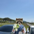 피어필름 | 경주 웨딩 스냅 <바게뜨필름> 한복 촬영 후기 | 가격, 원본, 제휴업체 정보