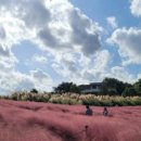 더 마을 핑크 이미지