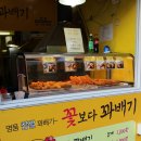 꽃보다꽈배기 이미지