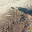 산해농장 이미지