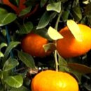 은선농장 이미지