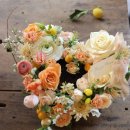 초당로 16번길 이미지