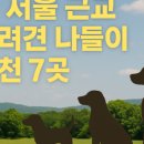 팔자좋은강아지 이미지