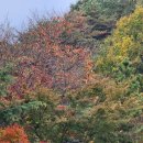 선피크모텔 이미지