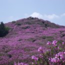5월15일 (화) 봉화산 (920m)철쭉축제 정기산행 이미지