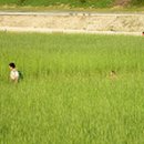(주)삼중나비스 이미지