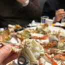 갈매기회센타 | 노량진 연말모임 초장집 끄트머리 예약 광주수산 방어회 충남꽃게