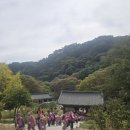 용문사 티스토리