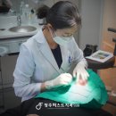 청주퍼스트 치과의원 네이버블로그