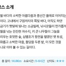 향림사 화장실 네이버블로그