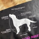 (주)영동이앤티에스 이미지