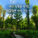 대구수목원 산책 후기｜해질녘에 더 예쁜 이유 (대구 달서구 가볼만한곳)
