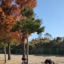 장안천가족휴게공원 이미지