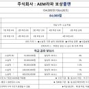 라파시스템 이미지