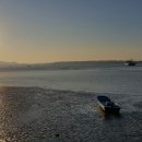 옹진해머금 이미지