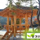 정자 Daum카페