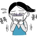 에스브로우 이미지