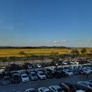 황금이식물원 이미지