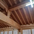 희희낙락풀빌라 | 청도펜션 희희낙락풀빌라 풀빌라 오렌지 105호 만족후기