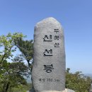 미주양돈종돈장 이미지