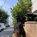 (주)퍼니랜드 네이버블로그