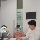 [ 호주 워킹홀리데이 준비 ] 워홀 비자 신청, 나이 제한, 초기 비용 등 꿀팁