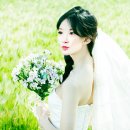 술시 이미지