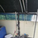 수막 목장 이미지