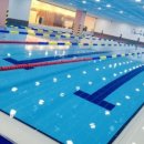 몬스터 키즈 풀 이미지