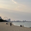 속초사잇길 제5길 네이버블로그