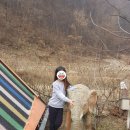 덕암초교(병설) | 계룡산글램핑 녹수원 글램핑에서 미리 메리메리 크리스마스 ^^