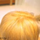 인주미용실 이미지