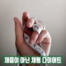 챔피언점핑다이어트