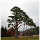 속리산 법주사
