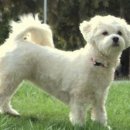 청담아이윌동물병원 이미지