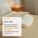메모리제이 네이버블로그