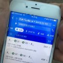 [독일생활일지] 독일 축구 분데스리가 관람 후기