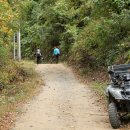 비수구미펜션 이미지