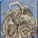 은희수산 이미지