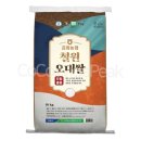 김화농업협동조합