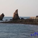 솔밭 1994 이미지