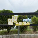 원주 키즈카페 추천! 횡성 카페 힐링스페이스 가족 나들이 후기