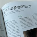 유선염인데 단유 안 했어요… 2주 항생제 치료 후기