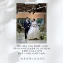 마링 | [W9] 본식 아이폰 스냅 추천/ 마링 스냅 촬영 후기 / 파티오벨라 아이폰 스냅 마링 스냅 본식 후기